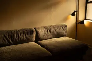 A newly decorated room with a sofa, plants and framed pictures